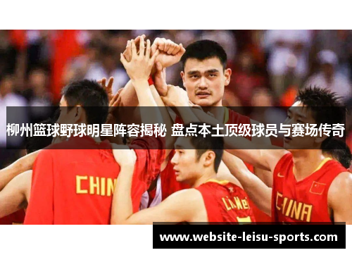 柳州篮球野球明星阵容揭秘 盘点本土顶级球员与赛场传奇