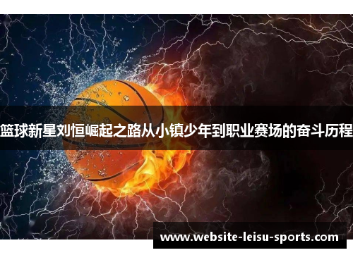篮球新星刘恒崛起之路从小镇少年到职业赛场的奋斗历程
