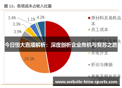 今日恒大直播解析：深度剖析企业危机与复苏之路